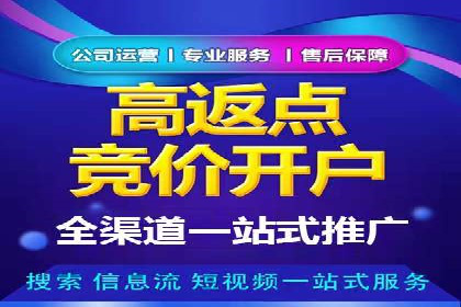 实战案例：SEM公司助力电商企业实现快速增长